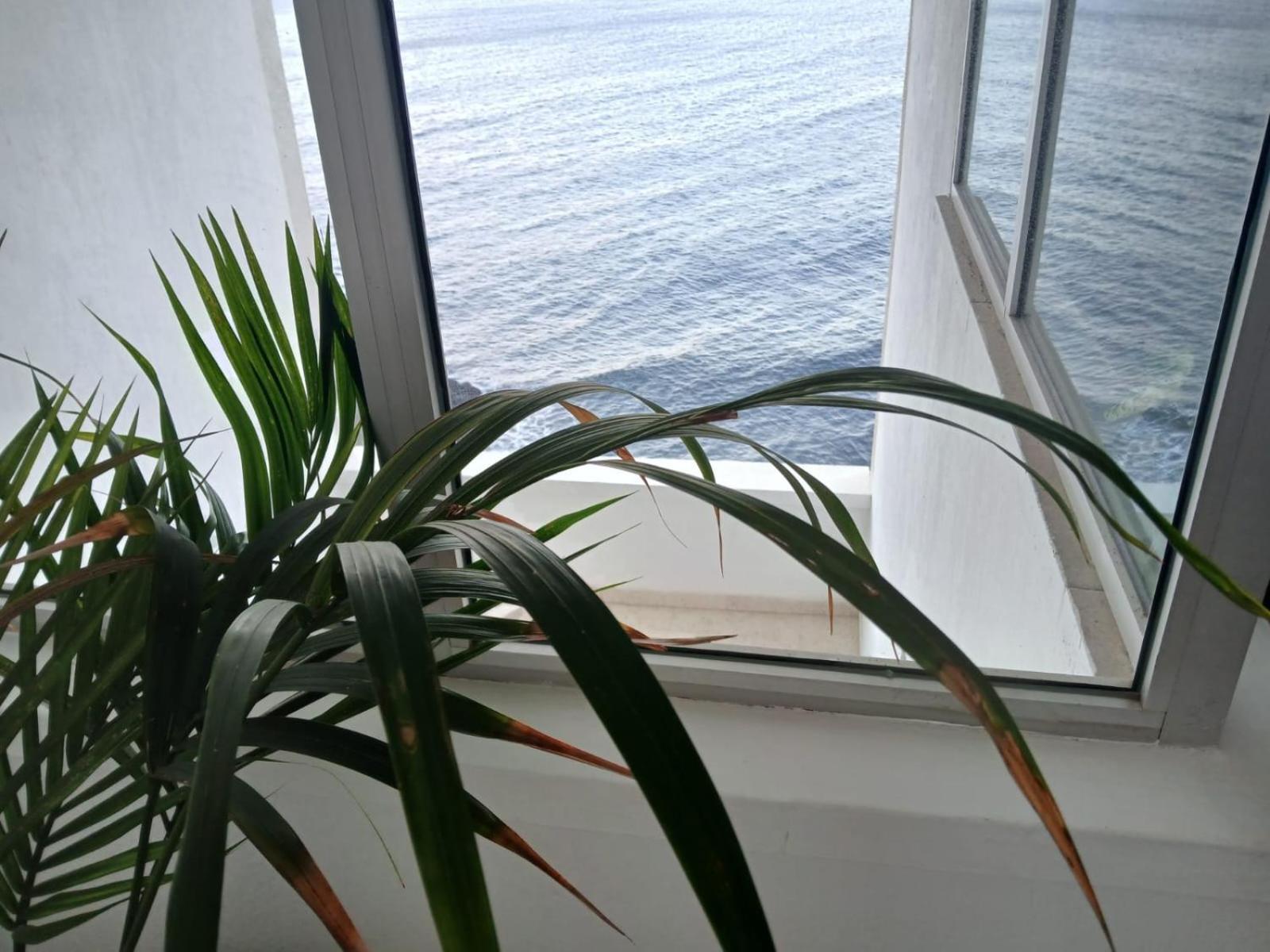 Apartamentos Playa Chica / Playa Las Gaviotas Santa Cruz de Tenerife Exteriör bild